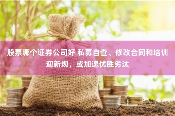 股票哪个证券公司好 私募自查、修改合同和培训迎新规，或加速优胜劣汰