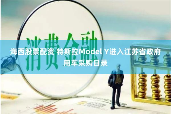 海西股票配资 特斯拉Model Y进入江苏省政府用车采购目录